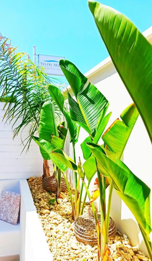 B&B Suites Via Del Mare Presicce Dış mekan fotoğraf
