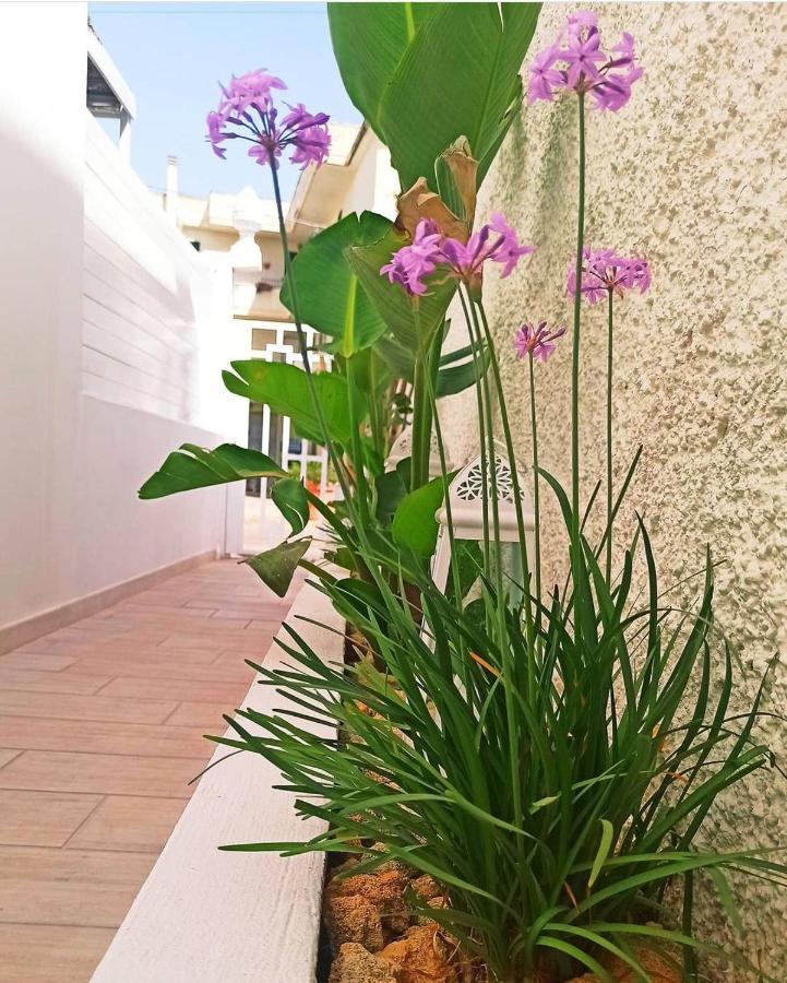 B&B Suites Via Del Mare Presicce Dış mekan fotoğraf